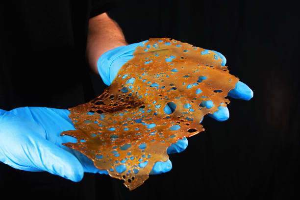 Hand holding a slab of concentrated cannabis oil extraction aka shatter isolated over black stock photo
