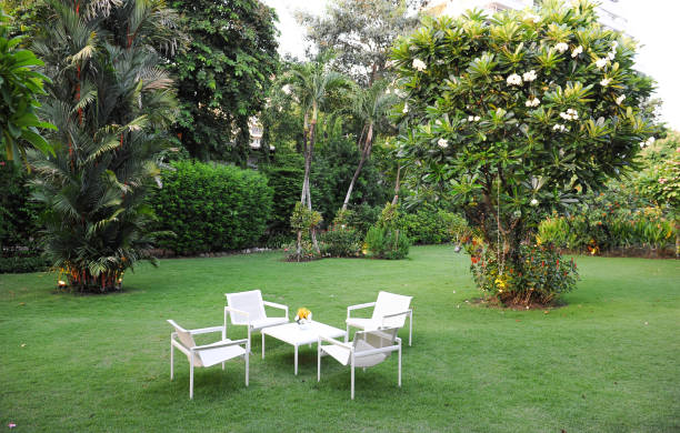 istock chairs in a beautifl garden 881425080