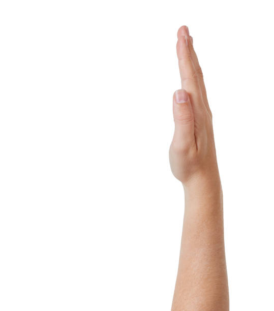 istock Side view of raised hand, fingers stretched up 881425326