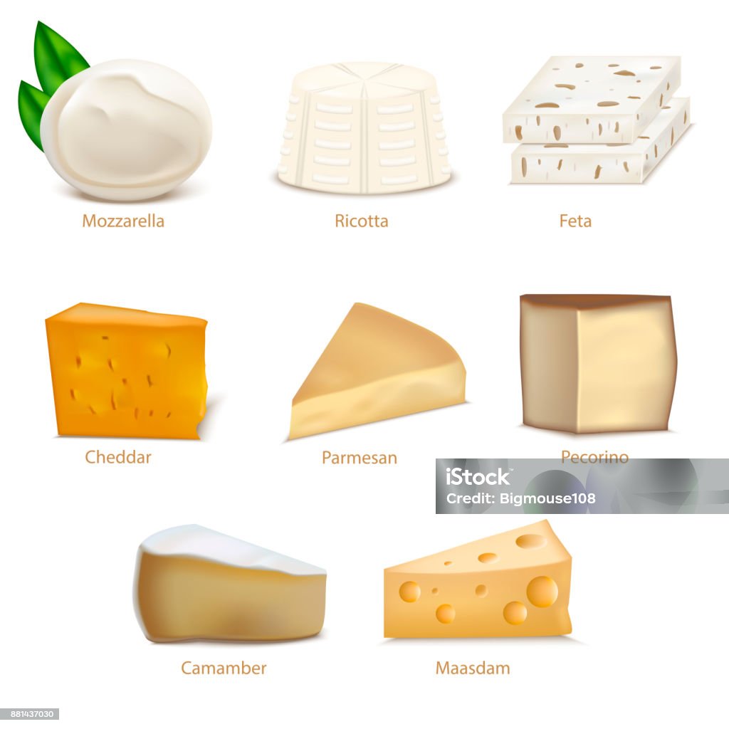 Realistic Detailed 3d Cheese Different Types Set. Vector Realistic Detailed 3d Cheese Different Types Set Include of Cheddar, Parmesan, Maasdam, Camembert, Mozzarella and Feta. Vector illustration Mozzarella stock vector