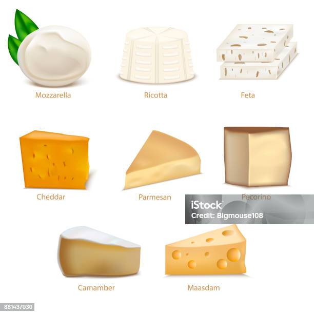 Realistic Detailed 3d Cheese Different Types Set Vector Stock Illustration - Download Image Now