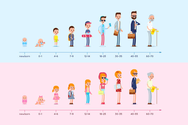 Evolution of the residence of man and woman from birth to old age. Stages of growing up. Life cycle graph. Generation infographic Evolution of the residence of man and woman from birth to old age. Stages of growing up. Life cycle graph. Generation infographic baby human age stock illustrations