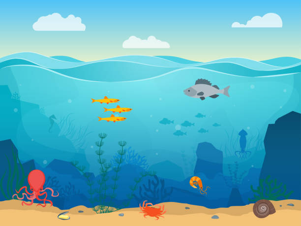 Cartoon Sea Underwater Scene Color Background. Vector Cartoon Sea Underwater Nature Scene Color Background Web Flat Design with Fish, Seaweed and Sand. Vector illustration of Undersea Landscape underwater stock illustrations