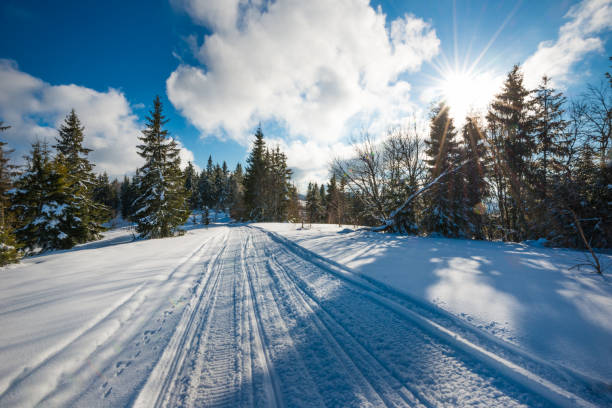 istock Trail in winter landscape. 881456856