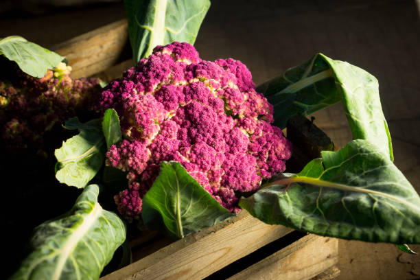 istock Beautiful cauliflower in the wooden crate 881461078