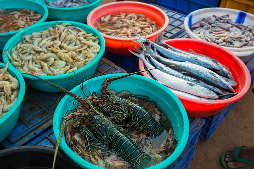 Sale of seafood in the markets of different cities of Goa and other states of India