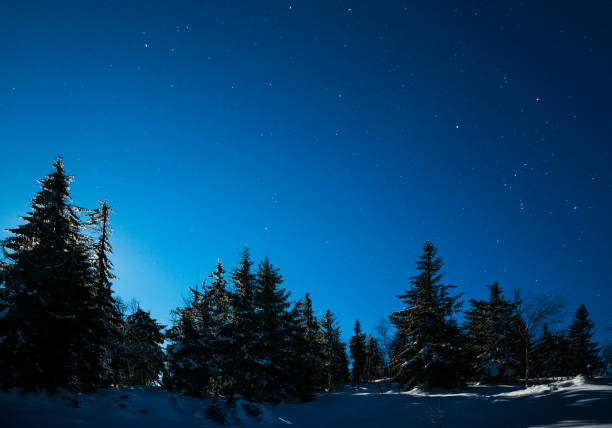 istock Night stars in the snowy mountains 881478290