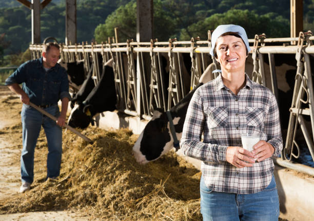 istock male and female workers posing on cow farm 881478438