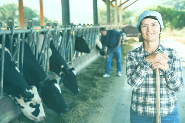 istock Mature female worker at cowshed 881478486