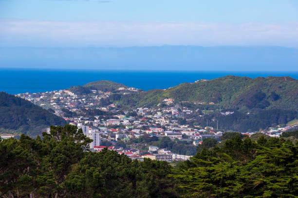 istock Wellington City Centre 881480866