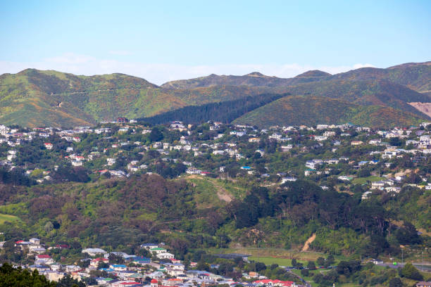 istock Wellington City Centre 881480912