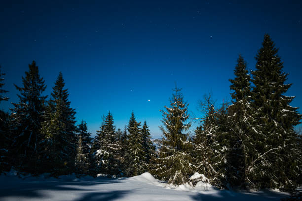 istock Night stars in the snowy mountains 881481004