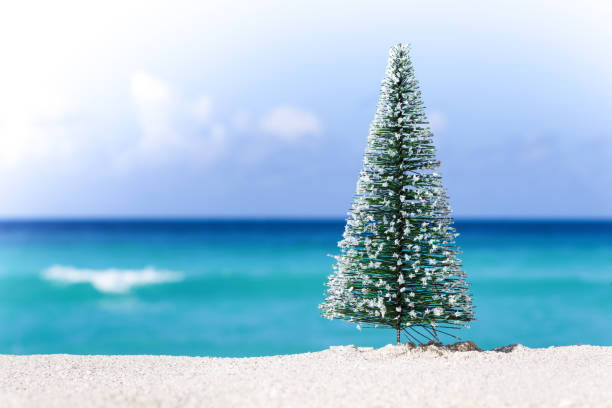 istock Christmas fir tree on sandy beach 881488490