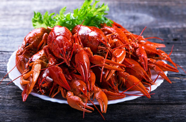 Plate of tasty boiled crayfish stock photo