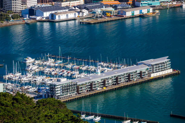 istock Wellington City Centre 881493012