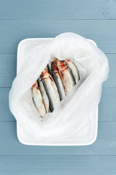 istock Raw fresh sardines in the plastic bag 881493028