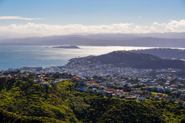 istock Wellington City Centre 881494278