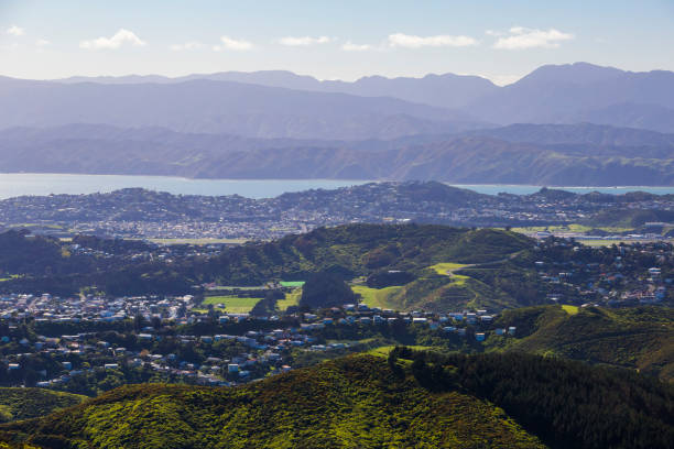 istock Wellington City Centre 881494424