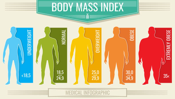 ilustrações de stock, clip art, desenhos animados e ícones de man body mass index. vector fitness bmi chart with male silhouettes and scale - dieting overweight weight scale healthcare and medicine