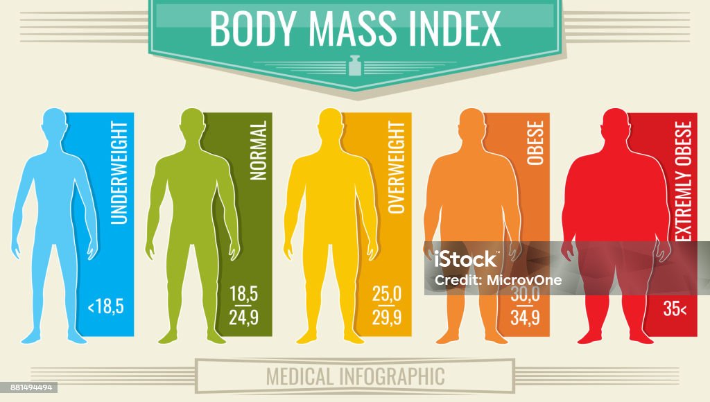 Man body mass index. Vector fitness bmi chart with male silhouettes and scale Man body mass index. Vector fitness bmi chart with male silhouettes and scale. Body mass index fot health life, obesity and overweight illustration Body Mass Index stock vector