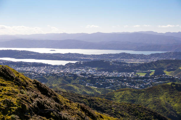 istock Wellington City Centre 881494678