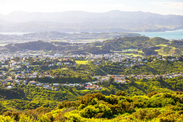 istock Wellington City Centre 881494866
