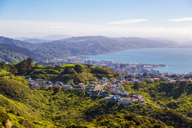 Wellington City Centre