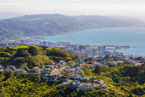 istock Wellington City Centre 881500090
