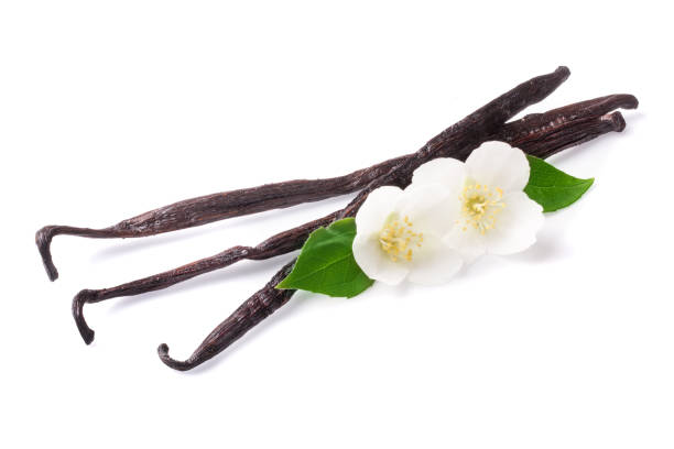 istock Vanilla sticks with flower and leaf isolated on white background 881500362