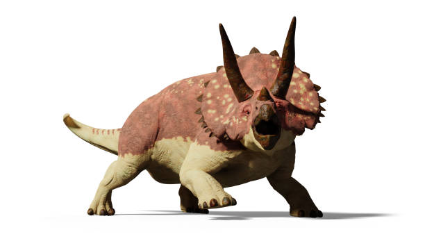 istock Triceratops horridus dinosaur (3d render isolated with shadow on white background) 881507230