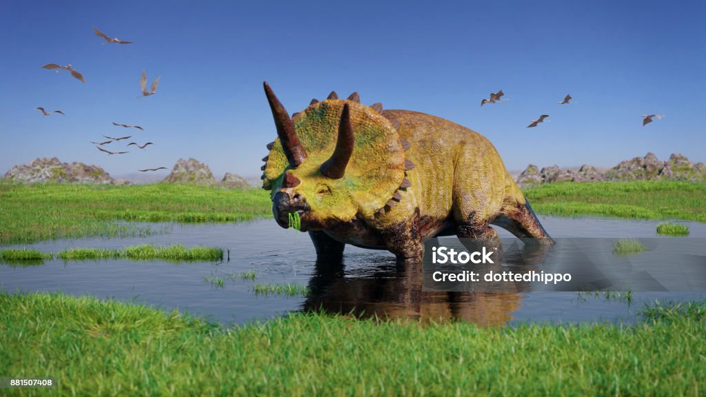 Triceratops horridus dinosaur and a flock of Pterosaurs from the Jurassic era eating water plants in beautiful landscape huge herbivore dinosaur in beautiful landscape Triceratops Stock Photo