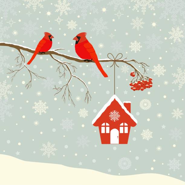 Cute red cardinal bird with birdhouse on branch in winter Cute red cardinal bird with birdhouse on branch in winter northern cardinal stock illustrations