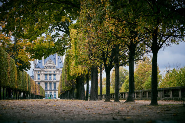 istock Tuileries Garden, Paris 881518562
