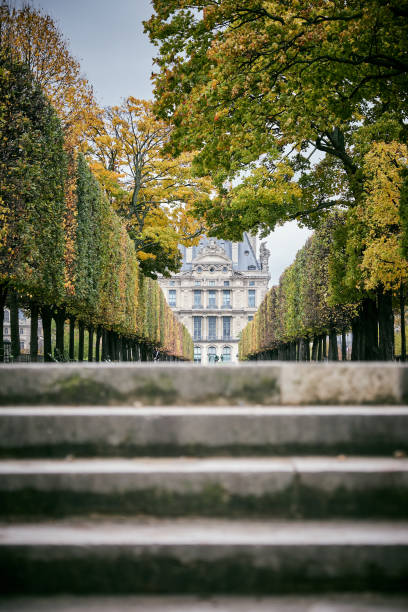 istock Tuileries Garden, Paris 881518582