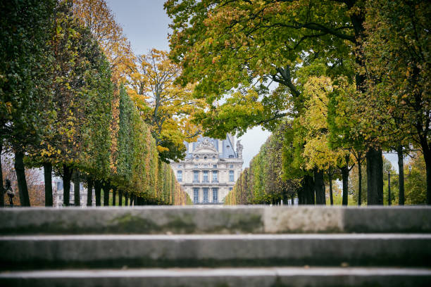 istock Tuileries Garden, Paris 881518586
