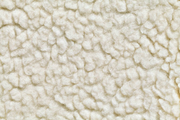 Felted wool texture stock photo