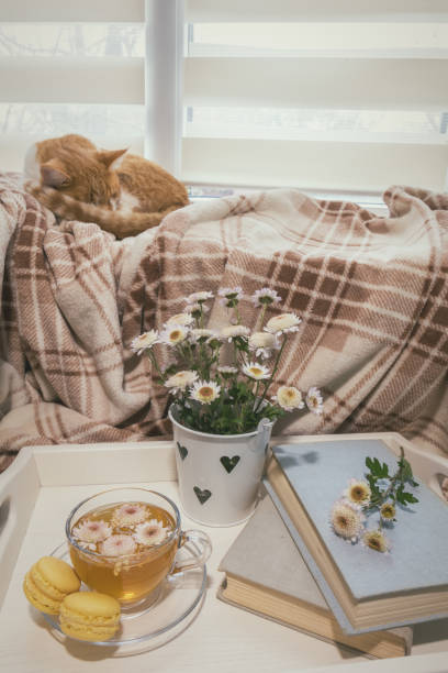istock Sweet home with flowers, tea and a cat 881519834