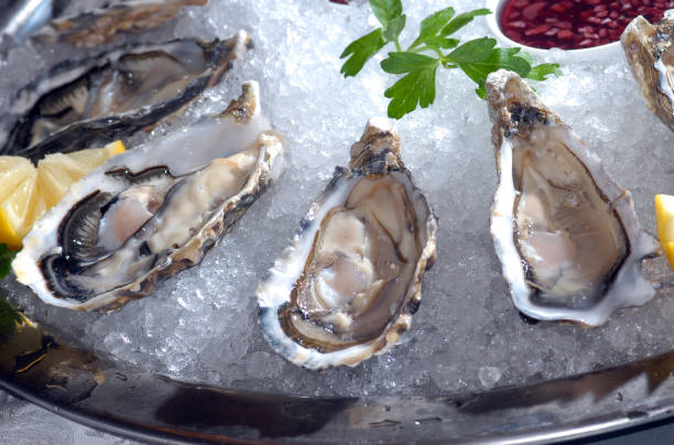 istock Oysters in ice with a lemon and sauce 881531456