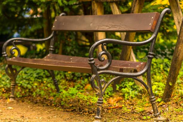istock Empty old wooden and wrought iron bench in the park 881550086