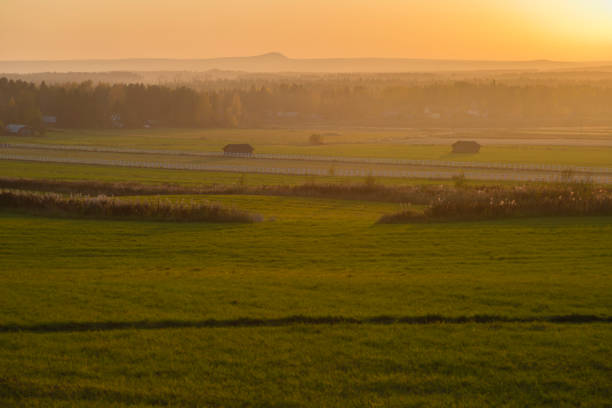 Lanscape in Böle View over agricultural landscape in Böle at sundown in direct light and fog over the trees and mountain, Böle, Piteå county, Norrbotten, Sweden norrbotten province stock pictures, royalty-free photos & images