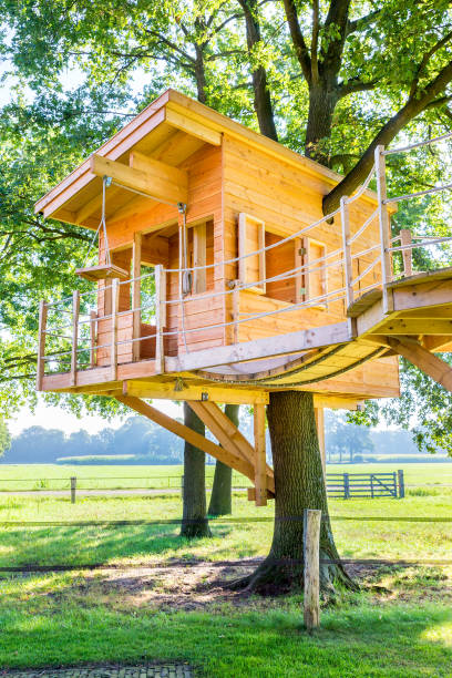 Wooden tree house in oak tree stock photo