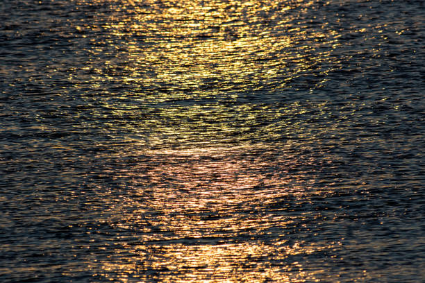istock Sunlight reflecting off calm sea water at sunrise. Abstract texture background image 881571970