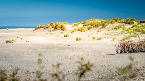 istock Walking along the Schiermonnikoog coastline on a summer afternoon (Netherlands) 881575888