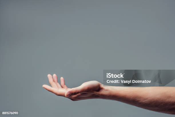 Handsome Man On Grey Background Stock Photo - Download Image Now - Hand, Palm of Hand, Stretching