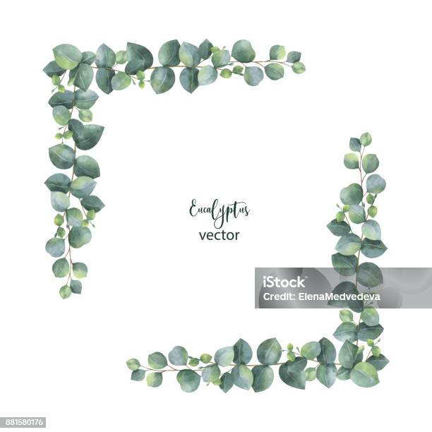 Watercolor Vector Wreath With Silver Dollar Eucalyptus Leaves And Branches Stock Illustration - Download Image Now