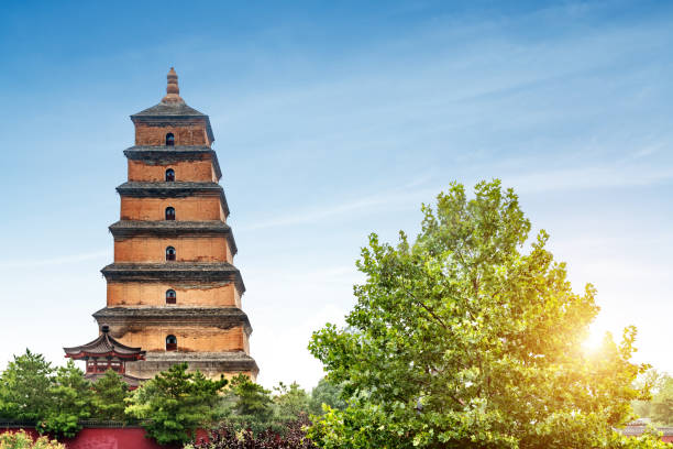 istock Xi'an Wild Goose Pagoda 881582972