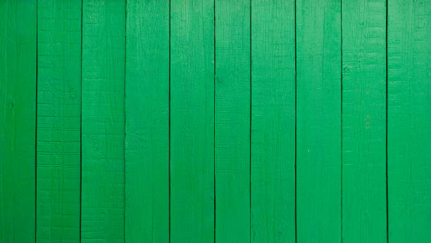 istock Wooden fence painted in green, texture. 881591724