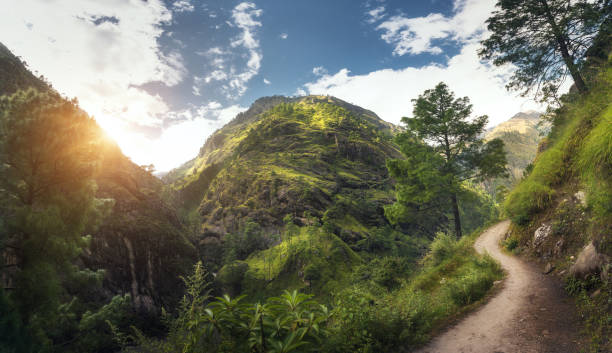 istock Amazing  scene with Himalayan mountains covered green grass and trees, blue cloudy sky with sun, clouds and beautiful path in Nepal at sunset. Panoramic landscape .Mountain valley. Travel in Himalayas 881592150