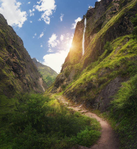 istock View with amazing Himalayan mountains covered green grass, high waterfall, beautiful path, fgreen trees, blue sky with sun and clouds in Nepal at sunset. Mountain canyon. Travel in Himalayas.Landscape 881592184