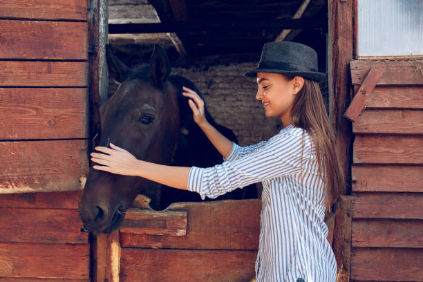 istock Young woman stroking a brown horse 881598262